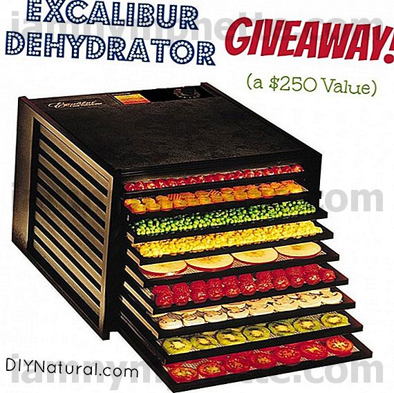 GIVEAWAY: Excalibur Dehydrator ($ 250 verdi)