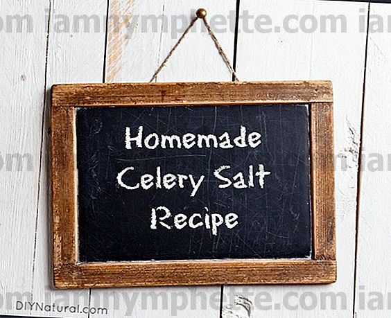 Greitas ir lengvas salierų druskos receptas namuose