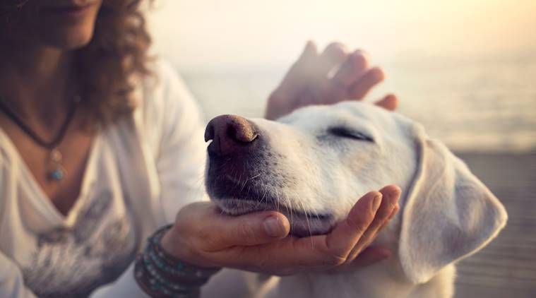 Südamehaigete parema tervisega seotud koerte omamine: uuring