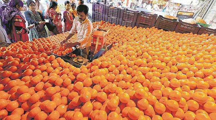 Naranjas, si tiene naranjas en invierno, frutas de naranja en invierno, beneficios para la salud de las naranjas, indianexpress.com, indianexpress, naranjas en temporada de invierno,