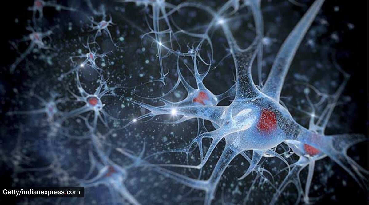 超过 60% 的人忽视了神经健康不良的早期迹象：调查