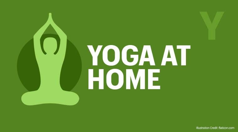 همه گیر ، فرهنگ لغت همه گیر ، کلماتی که 2020 ، 2020 را تعریف کردند