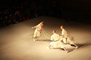 Shaolin stil
