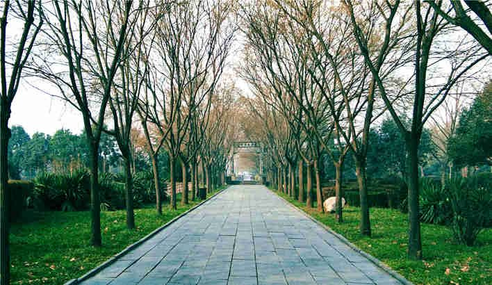 バイマ寺院