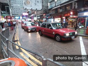 Hong Kong taxa