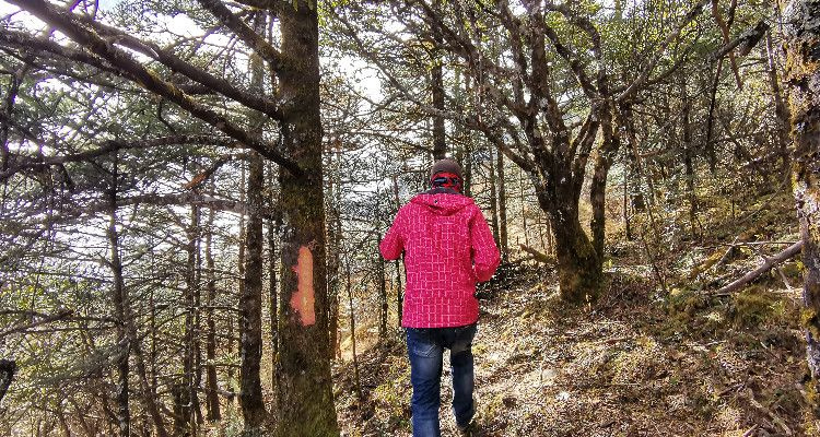 Vandring i Jade Dragon Snow Mountain