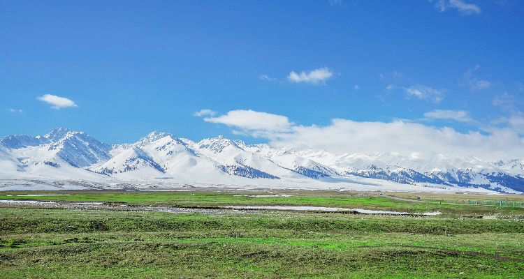 Nalati Grasslands