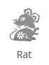 rotte