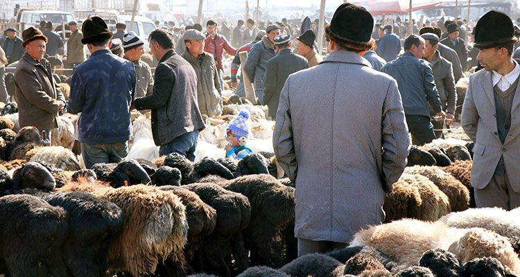 Husdyrbasar i Kashgar