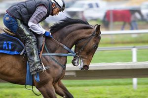 Corrida de cavalos de hong kong